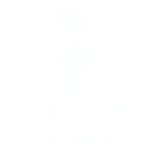 william_collins